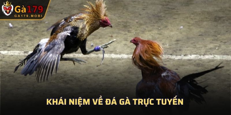Khái niệm về đá gà trực tuyến