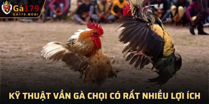 Kỹ thuật vần gà chọi có rất nhiều lợi ích