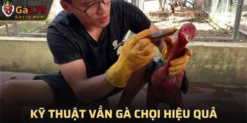 Kỹ Thuật Vần Gà Chọi