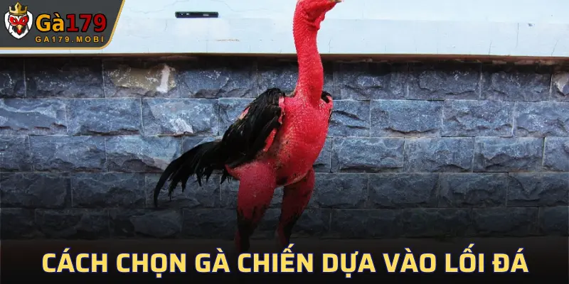 Lối đá là một trong những mối quan tâm cần chú trọng