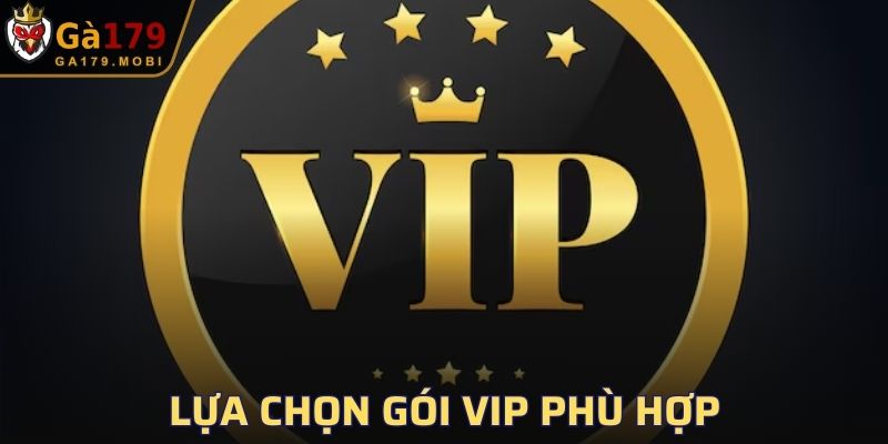 Lựa chọn gói VIP phù hợp