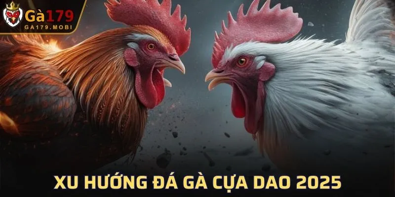 Luật đá gà cựa dao năm 2025