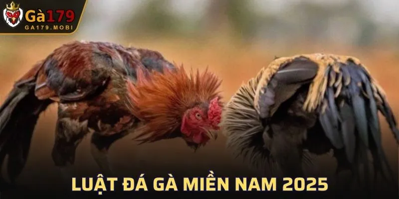 Luật đá gà miền Nam 2025