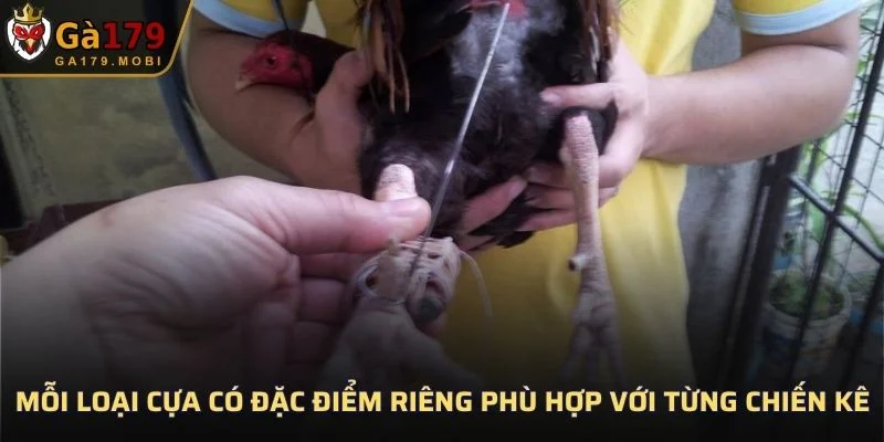Mỗi loại có đặc điểm riêng phù hợp với từng chiến kê