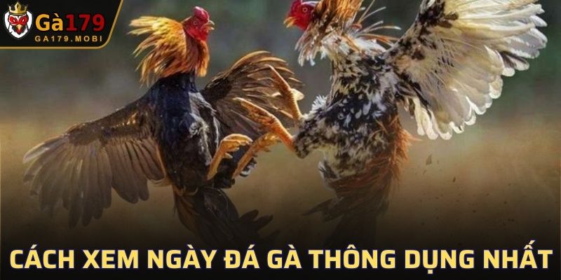 Một số cách xem ngày đá gà thông dụng nhất hiện nay