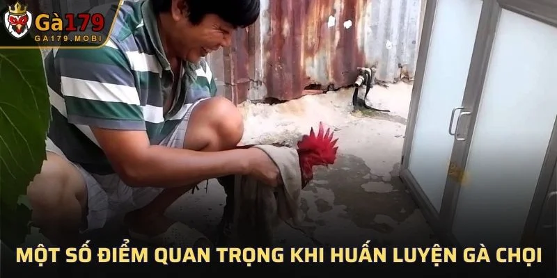 Một số điểm quan trọng cách huấn luyện gà chọi