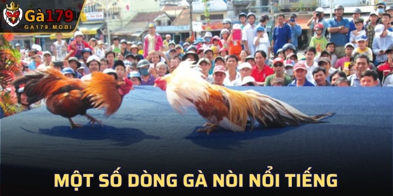 Một số dòng gà nòi nổi tiếng