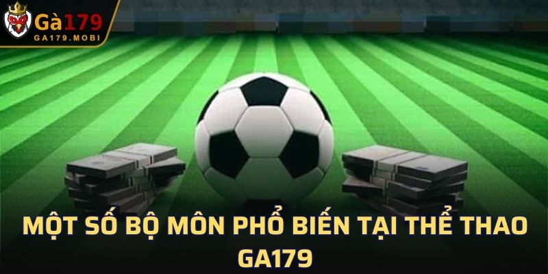 Một số bộ môn phổ biến tại Thể Thao GA179