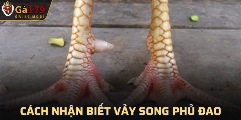 Một vài cách đơn giản để nhận biết vảy Song Phủ Đao