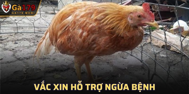 Ngăn chặn tình trạng nhờ thuốc