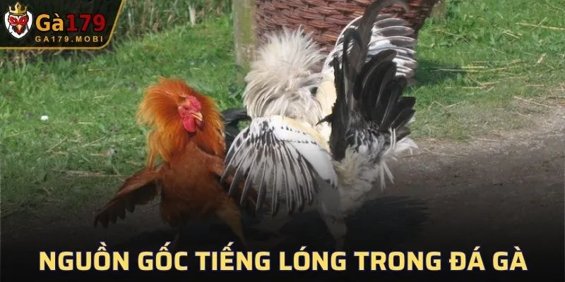 Nguồn gốc tiếng lóng trong đá gà