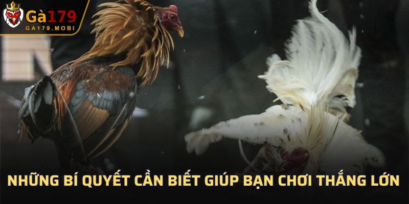 Những bí quyết cần biết giúp bạn chơi thắng lớn
