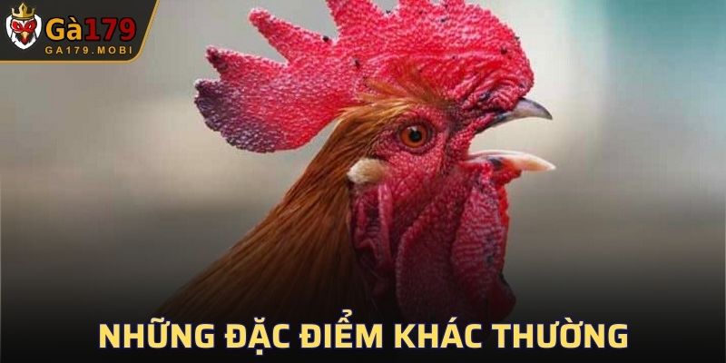 Những đặc điểm khác thường không giống ai