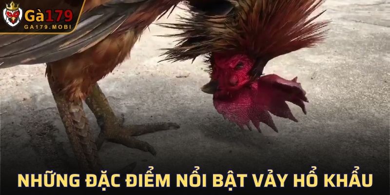 Những đặc điểm nổi bật của vảy Hổ Khẩu