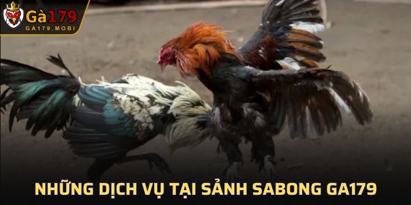 Những dịch vụ tại sảnh Sabong GA179