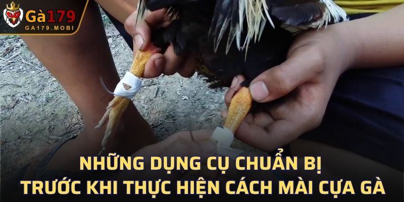 Những dụng cụ chuẩn bị trước khi thực hiện cách mài cựa gà