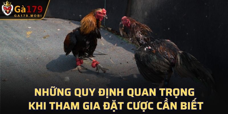 Những quy định quan trọng khi tham gia đặt cược cần biết