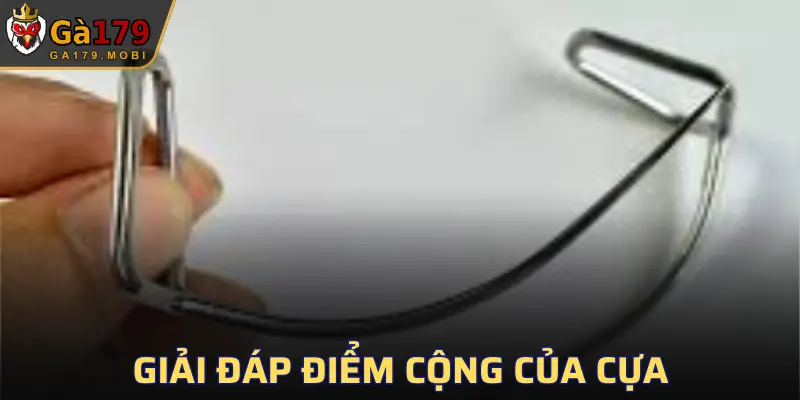Những trận đấu sử dụng cựa luôn mang đến sự kịch tính