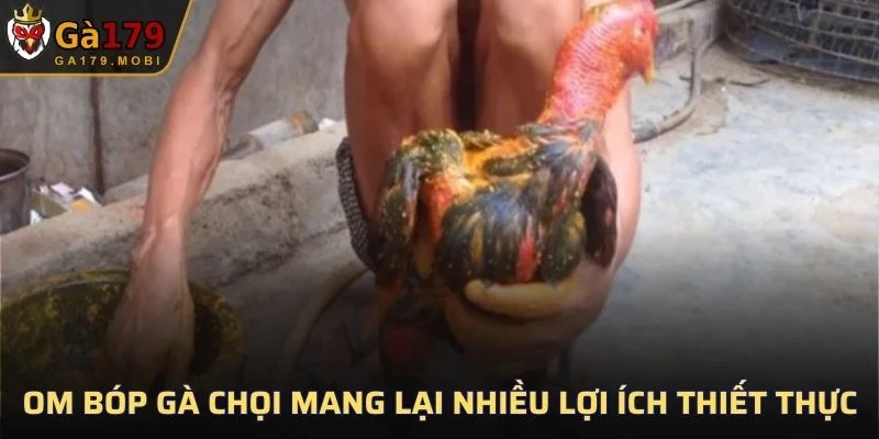 Om bóp gà chọi mang lại nhiều lợi ích thiết thực