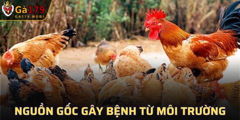 Phát bệnh từ môi trường xung quanh