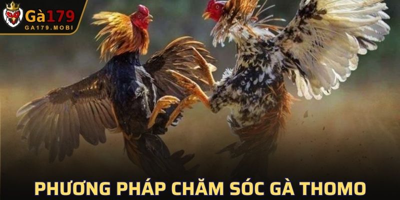 Phương pháp chăm sóc chú Thomo
