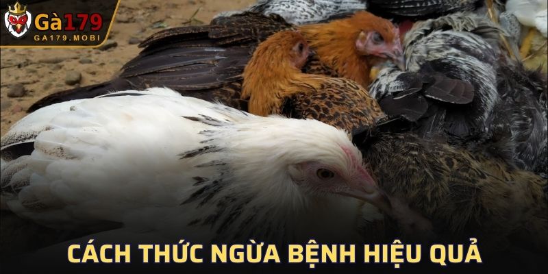 Phương pháp chặn nguồn bệnh