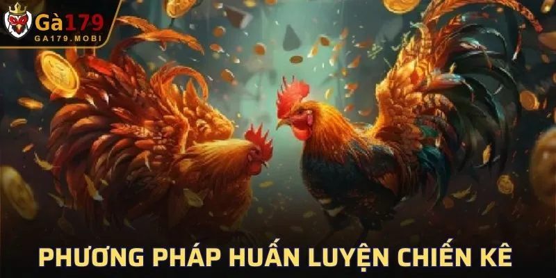 Phương pháp huấn luyện chiến kê từ các sư kê