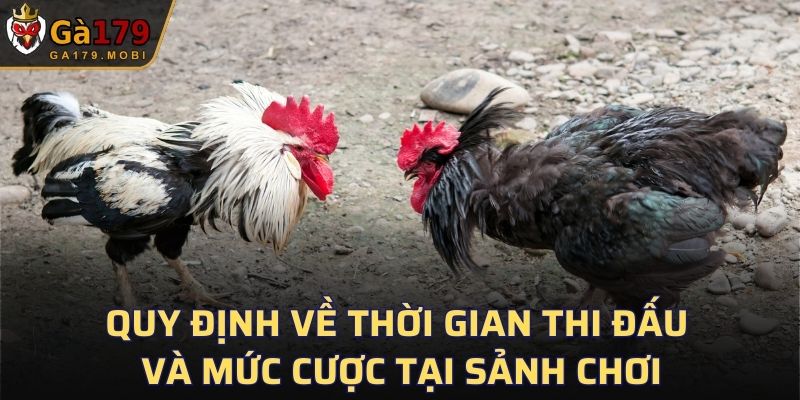 Quy định về thời gian thi đấu và mức cược tại sảnh chơi