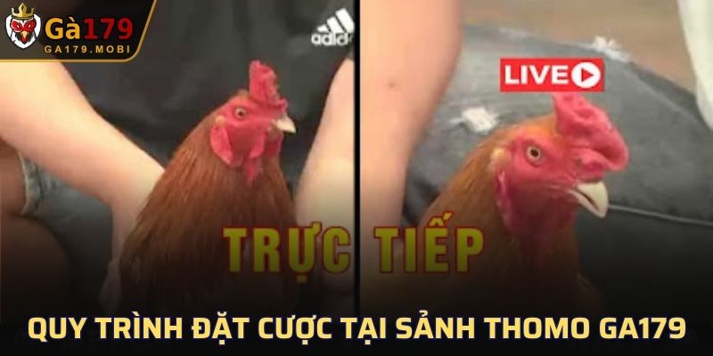 Quy trình đặt cược tại sảnh Thomo GA179