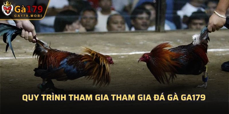 Quy trình tham gia tham gia đá gà GA179