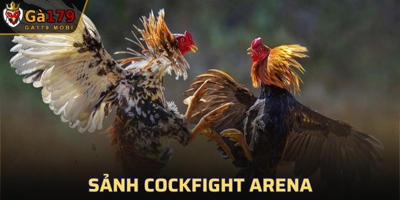 Sảnh Cockfight Arena