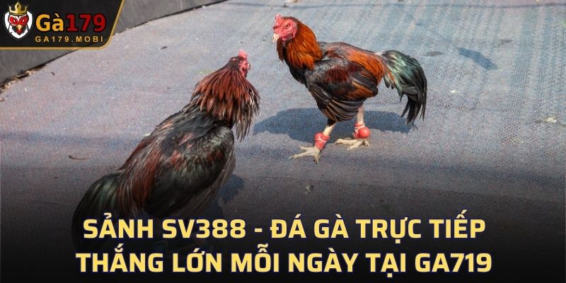 Sảnh SV388