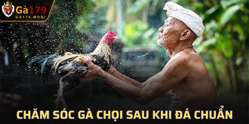 Sau mỗi trận đấu gay cấn gà thường đuối sức