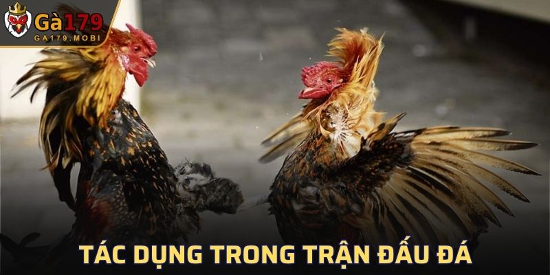 Tác dụng trong trận đấu