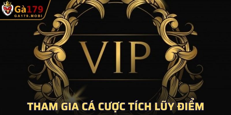 Tham gia cá cược tích lũy điểm