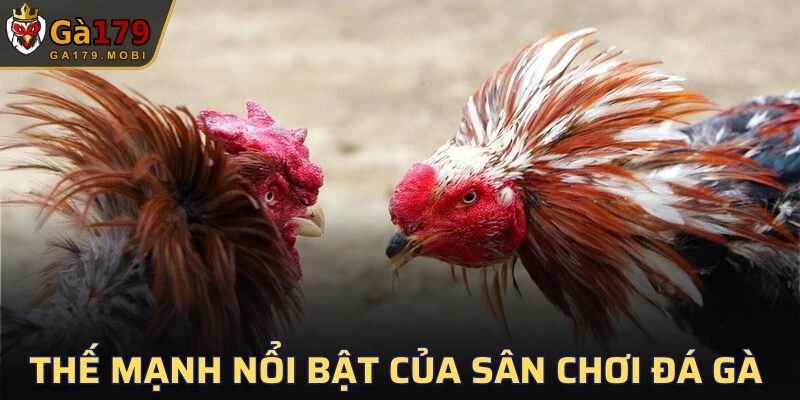 Thế mạnh nổi bật của sân chơi đá gà