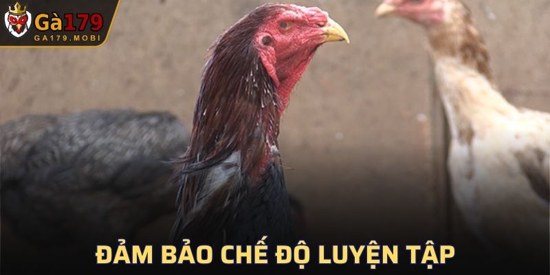 Theo dõi chế độ đảm bảo hợp lý