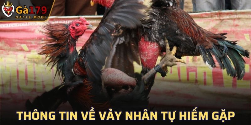 Thông tin về vảy Nhân Tự hiếm gặp