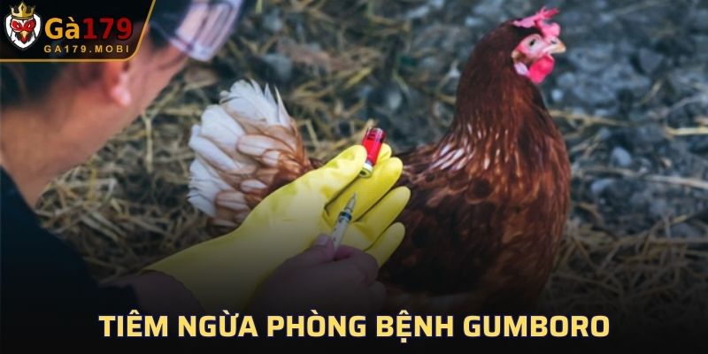 Tiêm ngừa phòng bệnh Gumboro