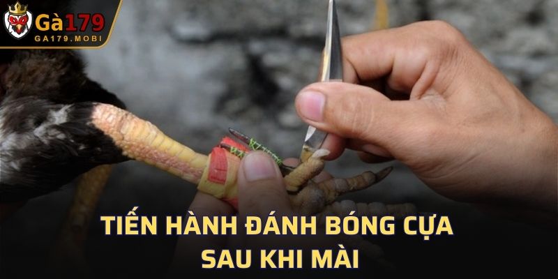 Tiến hành đánh bóng cựa sau khi mài
