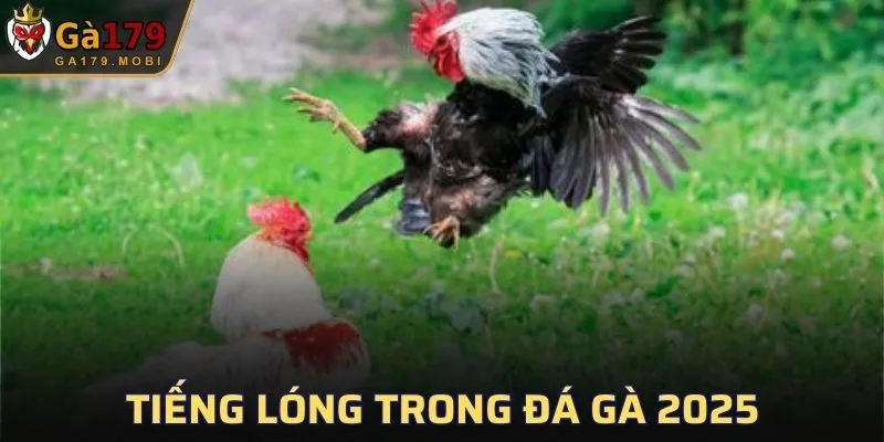 Tiếng Lóng Trong Đá Gà