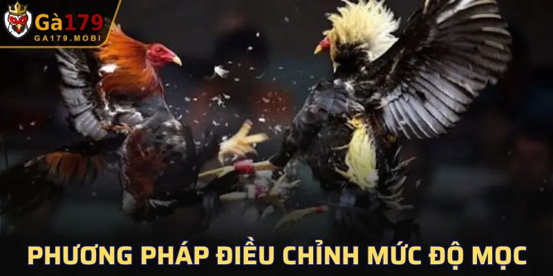 Tìm hiểu phương pháp hỗ trợ chuẩn nhất cho chiến kê