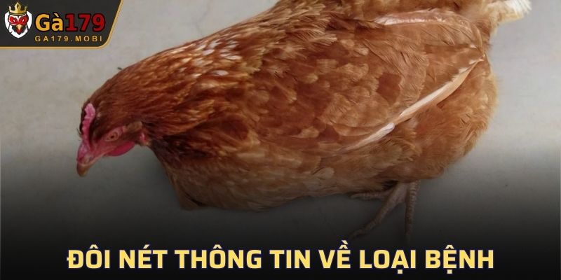Tìm hiểu thông tin về bệnh marek ở gà
