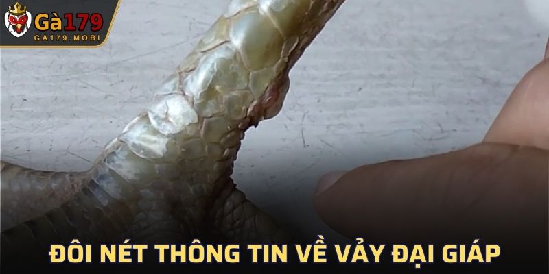 Tìm hiểu thông tin về Vảy Đại Giáp