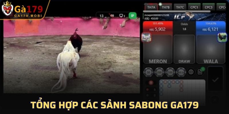 Tổng hợp các sảnh Sabong GA179