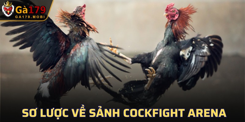 Tổng quan về sảnh Cockfight Arena tại GA179