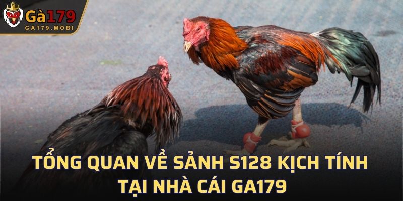 Tổng quan về sảnh S128 kịch tính tại nhà cái GA179