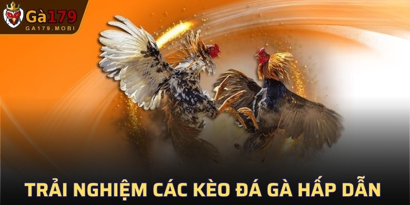 Trải nghiệm các kèo đá gà hấp dẫn