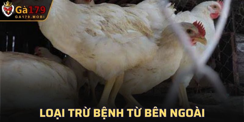 Tránh mầm bệnh lan từ bên ngoài