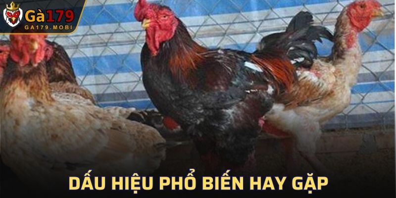 Triệu chứng dễ thấy hiện nay